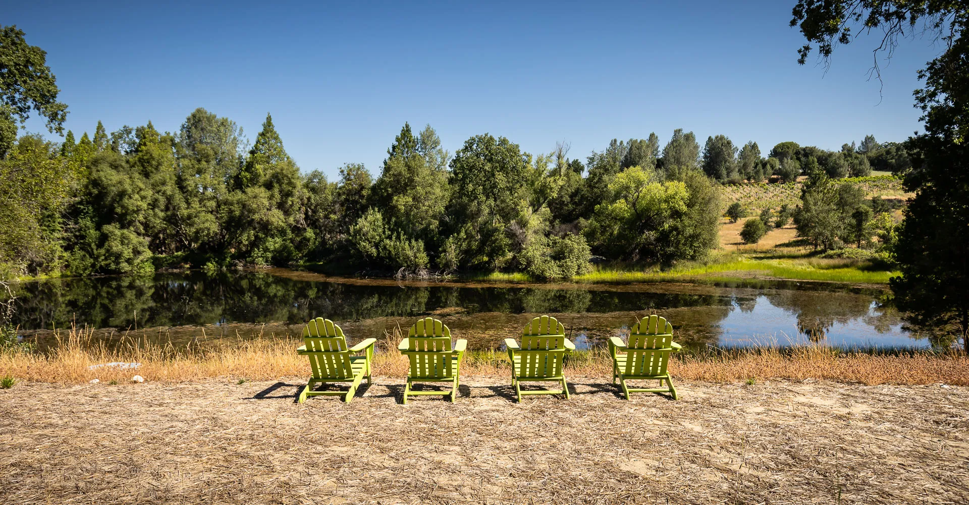 Four lime-green Adirondack chairs lined up on the bank facing the private pond