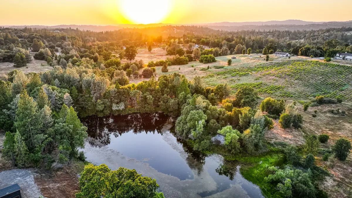 Somerset · Gold Country woodland and vineyard rows at sunset